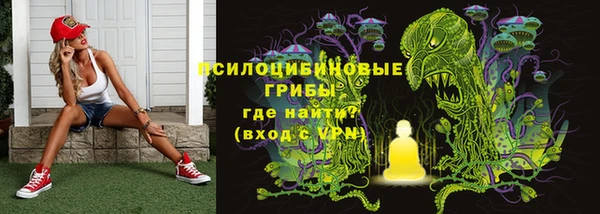 а пвп мука Белокуриха