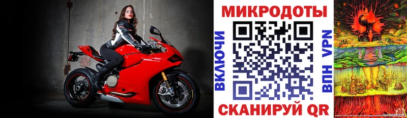 наркошоп  darknet какой сайт  Галлюциногенные грибы мицелий  Бирюч 